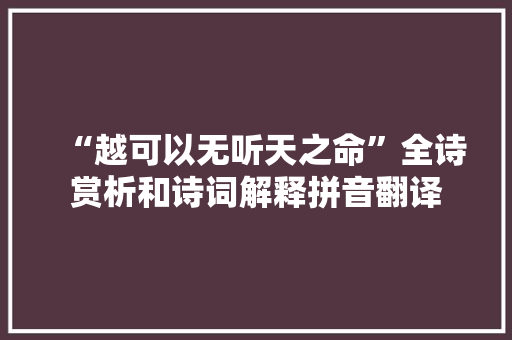 “越可以无听天之命”全诗赏析和诗词解释拼音翻译