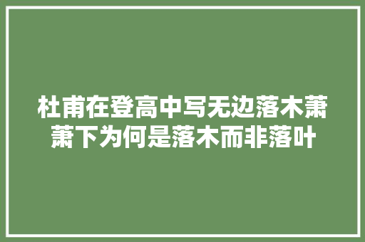 杜甫在登高中写无边落木萧萧下为何是落木而非落叶