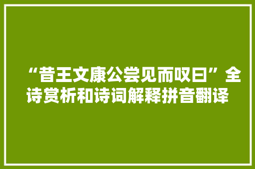 “昔王文康公尝见而叹曰”全诗赏析和诗词解释拼音翻译