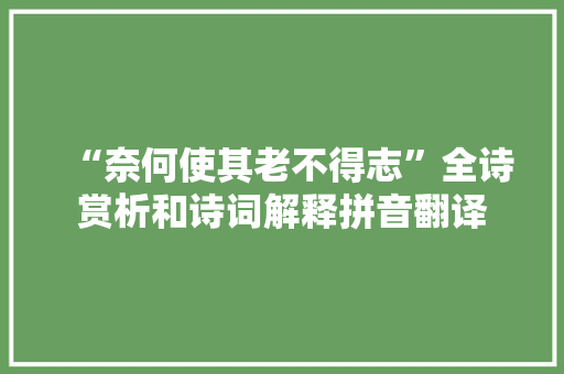 “奈何使其老不得志”全诗赏析和诗词解释拼音翻译