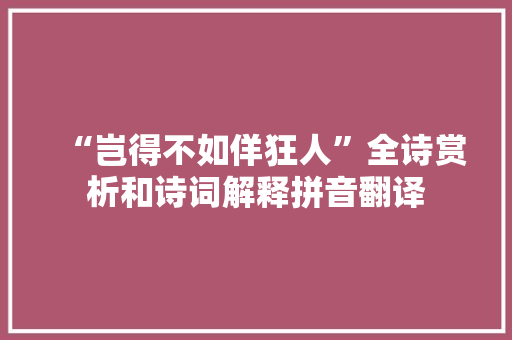 “岂得不如佯狂人”全诗赏析和诗词解释拼音翻译