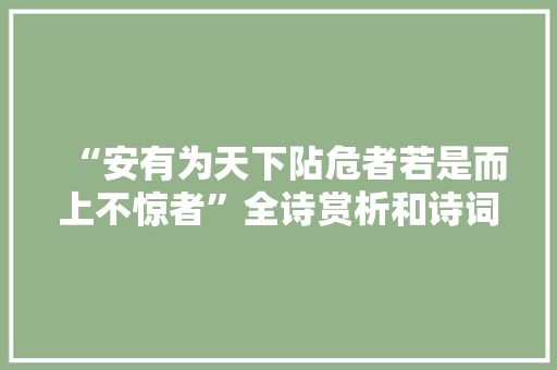 “安有为天下阽危者若是而上不惊者”全诗赏析和诗词解释拼音翻译
