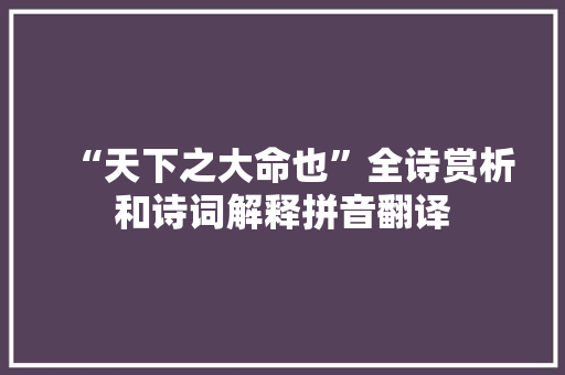 “天下之大命也”全诗赏析和诗词解释拼音翻译