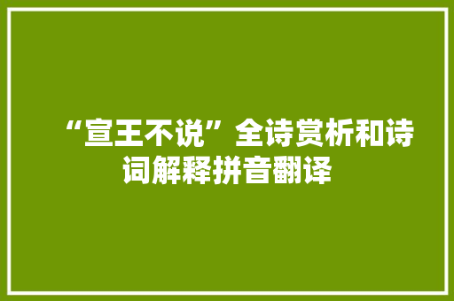 “宣王不说”全诗赏析和诗词解释拼音翻译