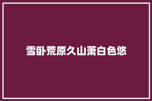 雪卧荒原久山萧白色悠