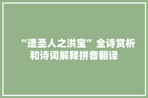 “遗圣人之洪宝”全诗赏析和诗词解释拼音翻译