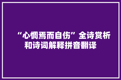 “心惆焉而自伤”全诗赏析和诗词解释拼音翻译