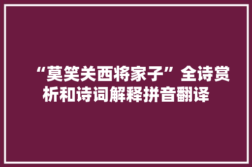 “莫笑关西将家子”全诗赏析和诗词解释拼音翻译