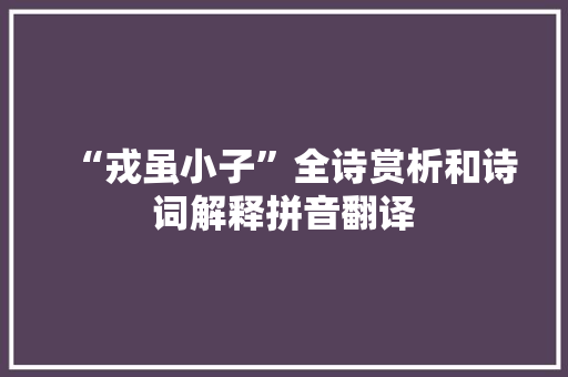“戎虽小子”全诗赏析和诗词解释拼音翻译