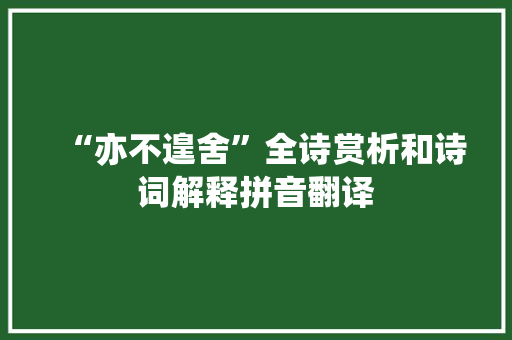 “亦不遑舍”全诗赏析和诗词解释拼音翻译