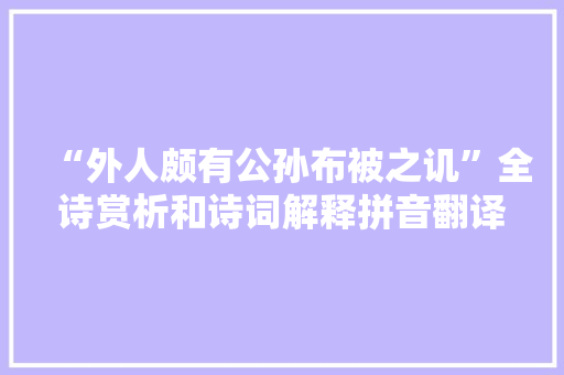 “外人颇有公孙布被之讥”全诗赏析和诗词解释拼音翻译