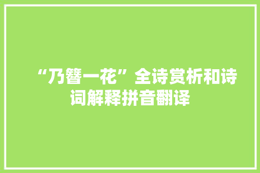 “乃簪一花”全诗赏析和诗词解释拼音翻译