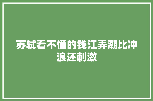 苏轼看不懂的钱江弄潮比冲浪还刺激