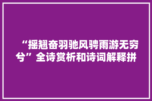“摇翘奋羽驰风骋雨游无穷兮”全诗赏析和诗词解释拼音翻译