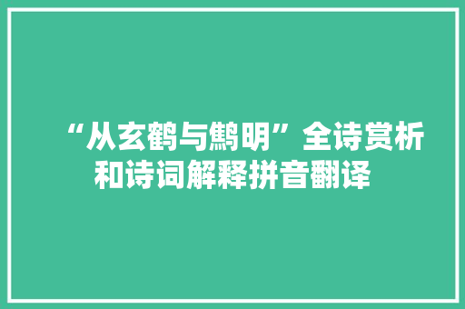 “从玄鹤与鹪明”全诗赏析和诗词解释拼音翻译