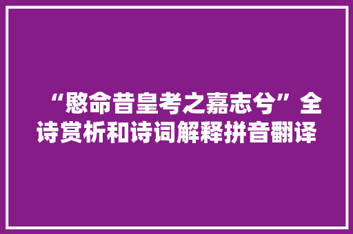 “愍命昔皇考之嘉志兮”全诗赏析和诗词解释拼音翻译