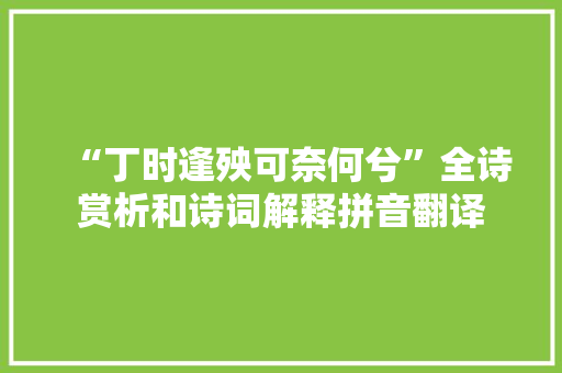 “丁时逢殃可奈何兮”全诗赏析和诗词解释拼音翻译