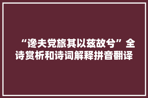 “谗夫党旅其以兹故兮”全诗赏析和诗词解释拼音翻译