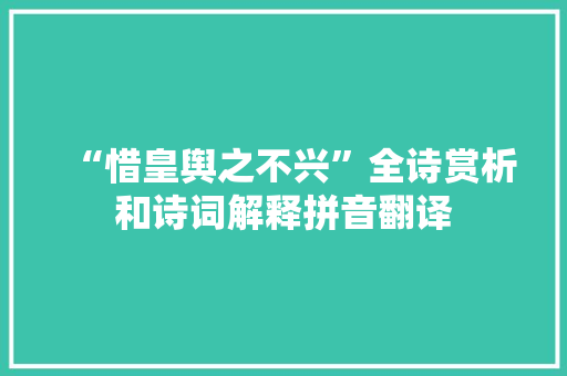 “惜皇舆之不兴”全诗赏析和诗词解释拼音翻译