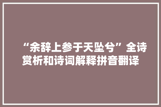 “余辞上参于天坠兮”全诗赏析和诗词解释拼音翻译