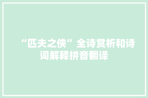 “匹夫之侠”全诗赏析和诗词解释拼音翻译
