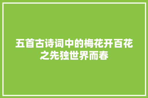 五首古诗词中的梅花开百花之先独世界而春