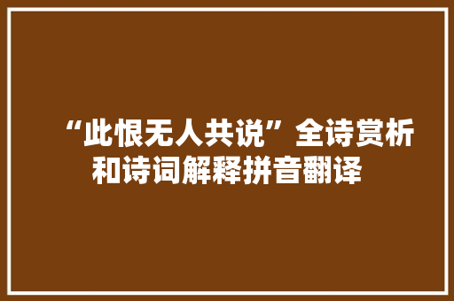 “此恨无人共说”全诗赏析和诗词解释拼音翻译