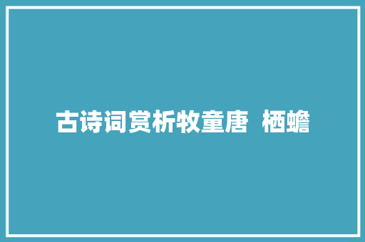 古诗词赏析牧童唐  栖蟾