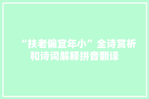 “扶老偏宜年小”全诗赏析和诗词解释拼音翻译