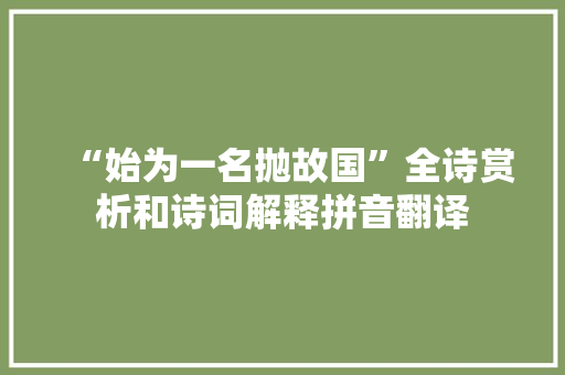 “始为一名抛故国”全诗赏析和诗词解释拼音翻译