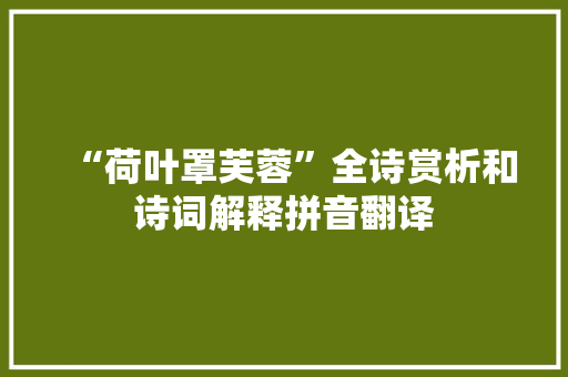 “荷叶罩芙蓉”全诗赏析和诗词解释拼音翻译