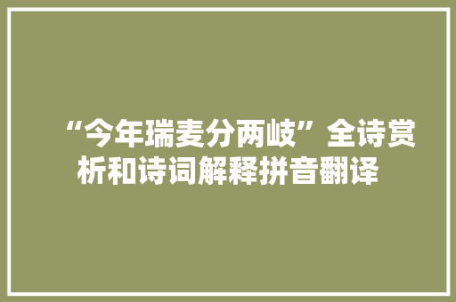 “今年瑞麦分两岐”全诗赏析和诗词解释拼音翻译