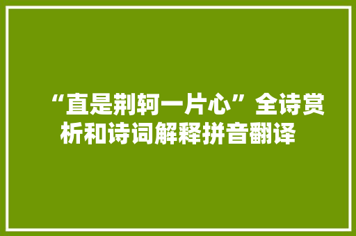 “直是荆轲一片心”全诗赏析和诗词解释拼音翻译