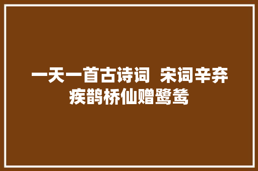 一天一首古诗词  宋词辛弃疾鹊桥仙赠鹭鸶