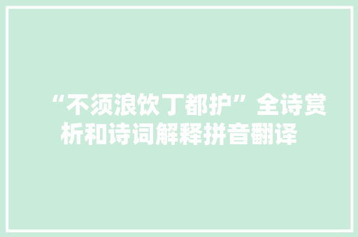 “不须浪饮丁都护”全诗赏析和诗词解释拼音翻译