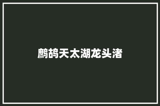 鹧鸪天太湖龙头渚