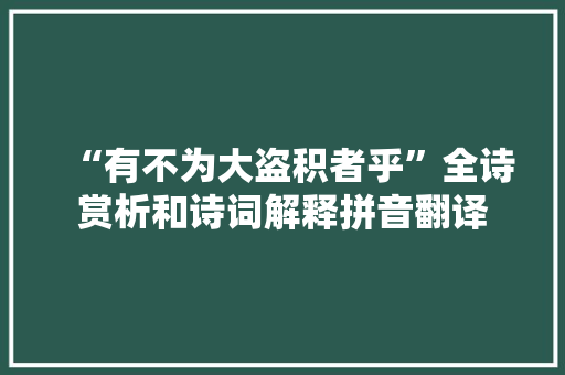 “有不为大盗积者乎”全诗赏析和诗词解释拼音翻译
