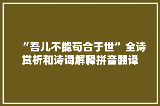 “吾儿不能苟合于世”全诗赏析和诗词解释拼音翻译