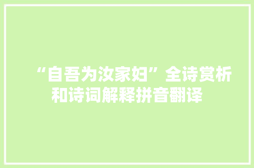 “自吾为汝家妇”全诗赏析和诗词解释拼音翻译