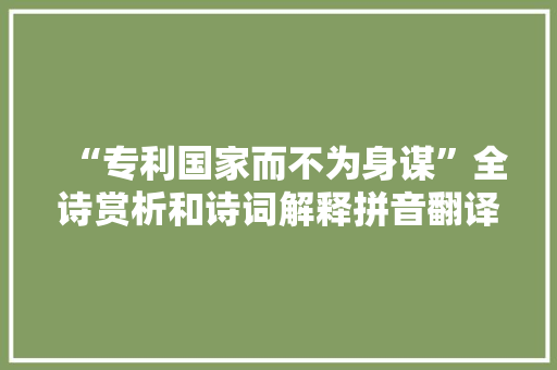 “专利国家而不为身谋”全诗赏析和诗词解释拼音翻译