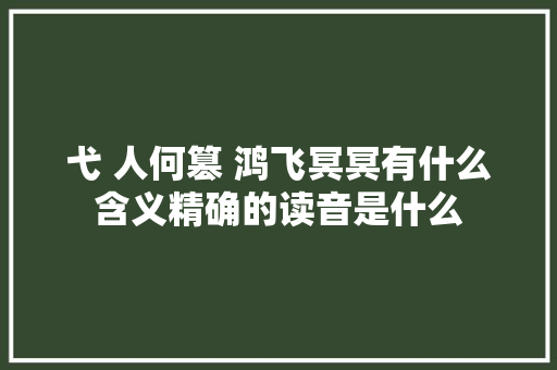 弋 人何篡 鸿飞冥冥有什么含义精确的读音是什么