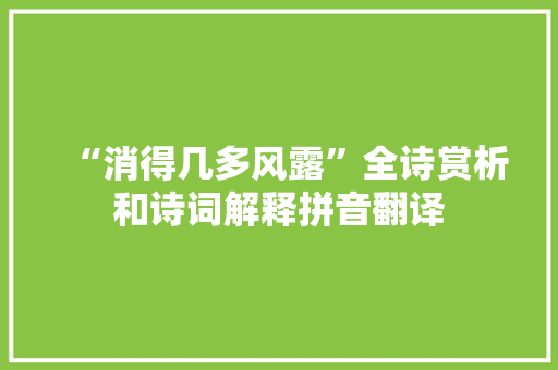 “消得几多风露”全诗赏析和诗词解释拼音翻译