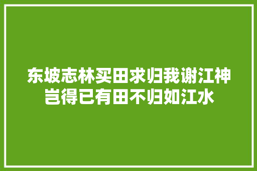 东坡志林买田求归我谢江神岂得已有田不归如江水