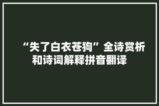 “失了白衣苍狗”全诗赏析和诗词解释拼音翻译