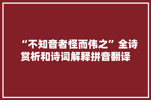 “不知音者怪而伟之”全诗赏析和诗词解释拼音翻译