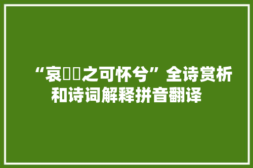 “哀悁悁之可怀兮”全诗赏析和诗词解释拼音翻译