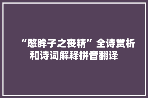 “愍眸子之丧精”全诗赏析和诗词解释拼音翻译
