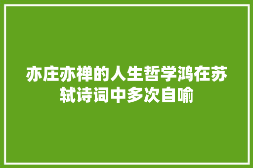亦庄亦禅的人生哲学鸿在苏轼诗词中多次自喻