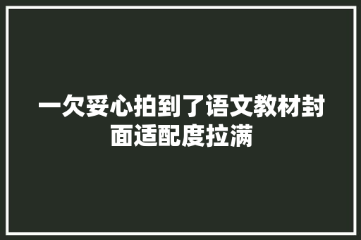 一欠妥心拍到了语文教材封面适配度拉满