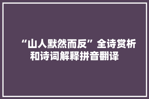 “山人默然而反”全诗赏析和诗词解释拼音翻译